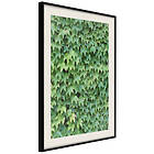 Artgeist Poster Affisch Thick Ivy [Poster] 30x45 A3-DRBPRP1075m_cr_pp