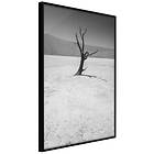 Artgeist Poster Affisch Tree in the Desert [Poster] 30x45 A3-DRBPRP0528m_cr