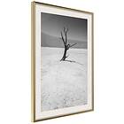 Artgeist Poster Affisch Tree in the Desert [Poster] 40x60 A3-DRBPRP0528l_zr_pp
