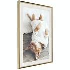 Artgeist Poster Affisch Lazy Cat [Poster] 30x45 A3-DRBPRP1525m_zr_pp