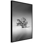 Artgeist Poster Affisch Tree on the Island [Poster] 30x45 A3-DRBPRP0396m_cr