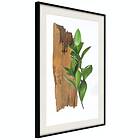 Artgeist Poster Affisch Fascinating Nature [Poster] 20x30 A3-DRBPRP1112s_cr_pp