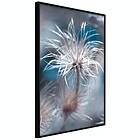 Artgeist Poster Affisch Plant in Blues [Poster] 20x30 A3-DRBPRP1066s_cr