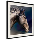 Artgeist Poster Affisch Majesty [Poster] 30x30 A3-DRBPRP0035l_cr_pp