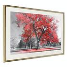 Artgeist Poster Affisch Autumn in the Park Red (Red) [Poster] 60x40 A3-DRBPRP0197l_zr_pp