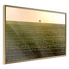 Artgeist Poster Affisch Autumn Morning [Poster] 60x40 A3-DRBPRP0098l_zr