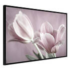 Artgeist Poster Affisch Pink Tulips [Poster] 30x20 A3-DRBPRP0105s_cr