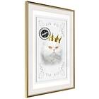 Artgeist Poster Affisch The King Cat [Poster] 30x45 A3-DRBPRP1152m_zr_pp