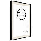 Artgeist Poster Affisch Cancer [Poster] 30x45 A3-DRBPRP1172m_cr_pp