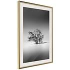 Artgeist Poster Affisch Tree on the Island [Poster] 20x30 A3-DRBPRP0396s_zr_pp