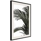 Artgeist Poster Affisch Jungle Treasures [Poster] 40x60 A3-DRBPRP1399l_cr_pp