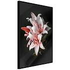 Artgeist Poster Affisch Lilies [Poster] 30x45 A3-DRBPRP0703m_cr