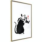 Artgeist Poster Affisch Rat Photographer [Poster] 40x60 A3-DRBPRP0992l_zr