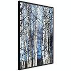 Artgeist Poster Affisch Frosty January [Poster] 40x60 A3-DRBPRP1536l_cr