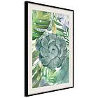 Artgeist Poster Affisch Tropical Flora [Poster] 20x30 A3-DRBPRP1681s_cr_pp
