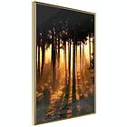 Artgeist Poster Affisch Honey Forest [Poster] 30x45 A3-DRBPRP1562m_zr
