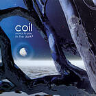 Coil - Musick To Play In The Dark 2 LP