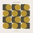 Spirit In The Dark - Superbells LP