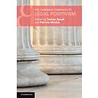 Torben Spaak: The Cambridge Companion to Legal Positivism
