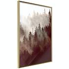 Artgeist Poster Affisch Brown Forest [Poster] 40x60 A3-DRBPRP1463l_zr