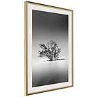 Artgeist Poster Affisch Tree on the Island [Poster] 30x45 A3-DRBPRP0396m_zr_pp