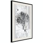 Artgeist Poster Affisch Silver Tree [Poster] 40x60 A3-DRBPRP1006l_cr_pp