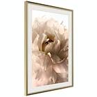 Artgeist Poster Affisch Soft Petals [Poster] 30x45 A3-DRBPRP1417m_zr_pp