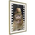 Artgeist Poster Affisch Monkey In Hat [Poster] 40x60 A3-DRBPRP0559l_zr_pp