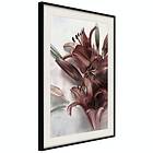 Artgeist Poster Affisch Floral Form [Poster] 30x45 A3-DRBPRP1356m_cr_pp