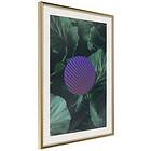 Artgeist Poster Affisch Botanical Abstraction [Poster] 30x45 A3-DRBPRP0693m_zr_pp