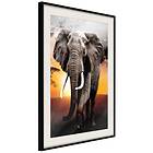 Artgeist Poster Affisch Warm Savanna [Poster] 40x60 A3-DRBPRP1404l_cr_pp