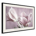 Artgeist Poster Affisch Pink Tulips [Poster] 30x20 A3-DRBPRP0105s_cr_pp