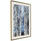 Artgeist Poster Affisch Frosty January [Poster] 20x30 A3-DRBPRP1536s_zr_pp