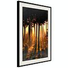 Artgeist Poster Affisch Honey Forest [Poster] 20x30 A3-DRBPRP1562s_cr_pp