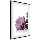 Artgeist Poster Affisch Stone Consolation [Poster] 30x45 A3-DRBPRP1343m_cr_pp