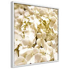 Artgeist Poster Affisch White Meadow [Poster] 50x50 A3-DRBPRP0038x_br