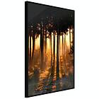 Artgeist Poster Affisch Honey Forest [Poster] 20x30 A3-DRBPRP1562s_cr