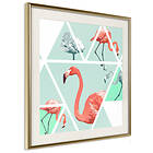 Artgeist Poster Affisch Geometric Flamingos Square [Poster] 30x30 A3-DRBPRP0014l_zr_pp