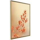 Artgeist Poster Affisch Fiery Grass [Poster] 30x45 A3-DRBPRP1446m_zr