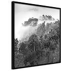 Artgeist Poster Affisch Rainforest [Poster] 20x20 A3-DRBPRP0027_cr