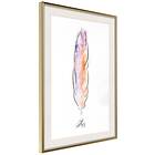 Artgeist Poster Affisch Colourful Feather [Poster] 30x45 A3-DRBPRP0699m_zr_pp