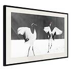 Artgeist Poster Affisch Dancing Cranes 60x40cm Svart Ram Med Passepartout