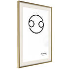 Artgeist Poster Affisch Cancer [Poster] 30x45 A3-DRBPRP1172m_zr_pp
