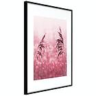 Artgeist Poster Affisch Ruby Stalk [Poster] 20x30 A3-DRBPRP0827s_cr