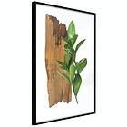 Artgeist Poster Affisch Fascinating Nature [Poster] 30x45 A3-DRBPRP1112m_cr