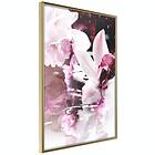 Artgeist Poster Affisch Sleepy Orchid [Poster] 20x30 A3-DRBPRP1346s_zr