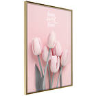 Artgeist Poster Affisch Six Tulips [Poster] 20x30 A3-DRBPRP0884s_zr