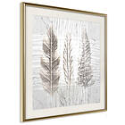 Artgeist Poster Affisch Three Leaves [Poster] 30x30 A3-DRBPRP0030l_zr_pp