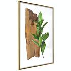 Artgeist Poster Affisch Fascinating Nature [Poster] 40x60 A3-DRBPRP1112l_zr