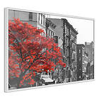 Artgeist Poster Affisch Autumn in New York [Poster] 90x60 A3-DRBPRP0104x_br